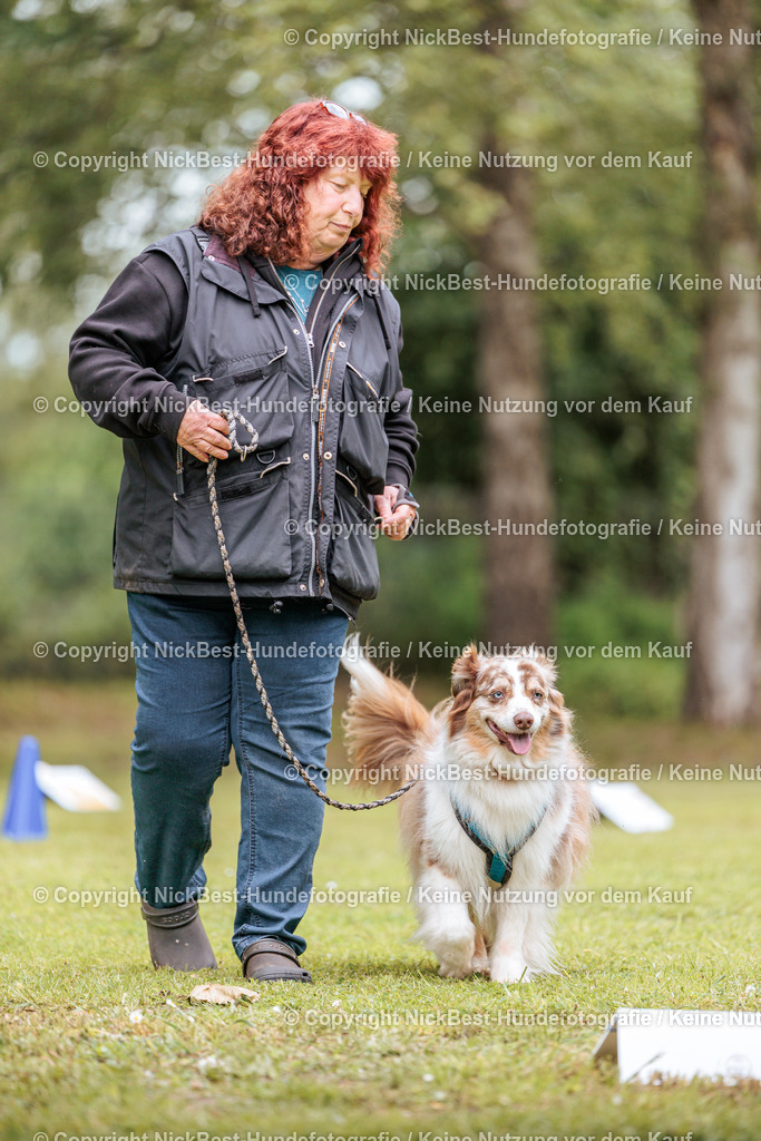 RO-Blumenthal-2026-Nickbest-Hundefotografie-3245 | Dein Hund! Dein Moment! Deine Erinnerungen! Hundefotografie in Bremen Blumenthal. Ich fange die besonderen Momente deines Vierbeiners ein – ob Indoor mit Blitzanlage oder in der freien Natur. Sicher dir dein Moment und dein Termin für eure Erinnerungen.
