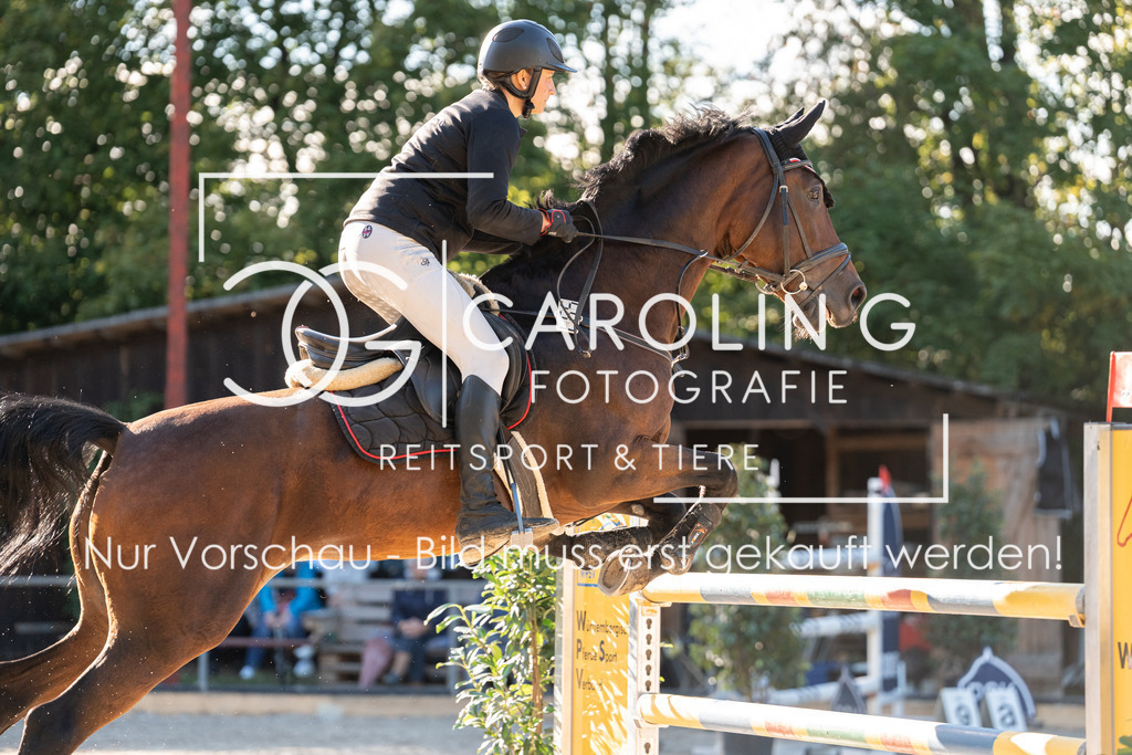 DSC04467 | Carolin Gieschke