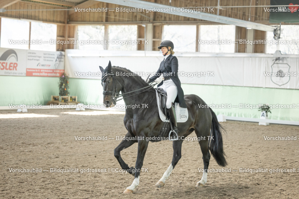 _D5A1640 | Emotionale Pferde- & People-Fotografie rund um Heidelberg, Leimen & Umgebung. Natürliche Fotos von Pferd, Mensch & Familie. Jetzt Termin sichern!