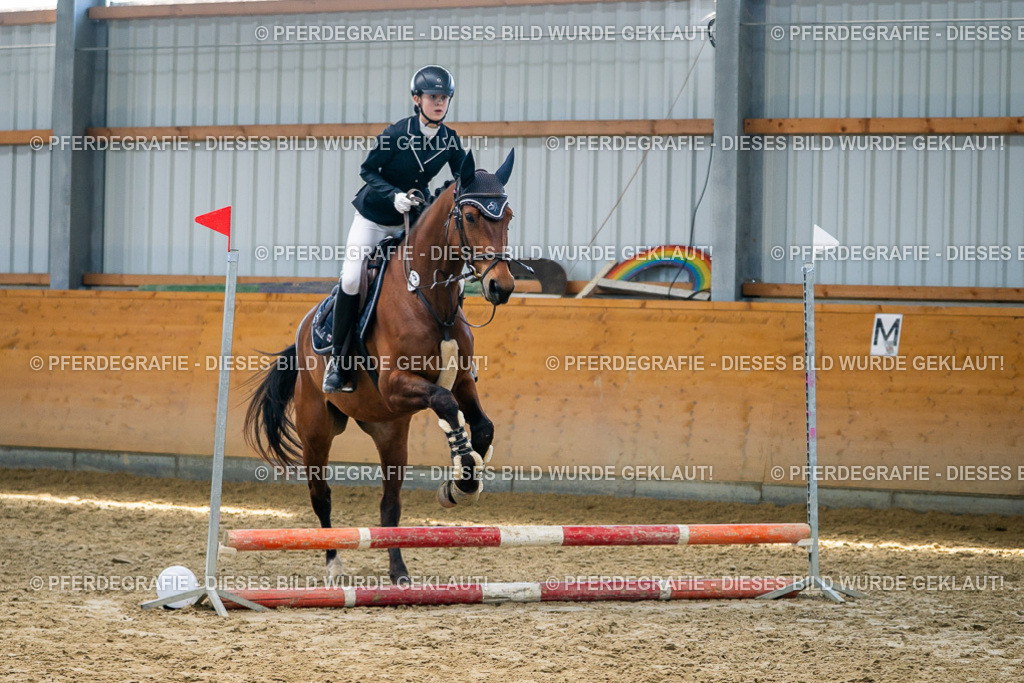 DSC01785 | Pferdegrafie