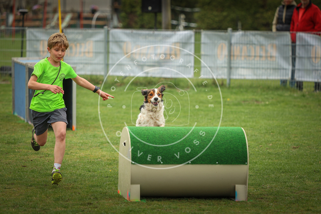 Pfotenfotografie_0L8A1726 | Hundefotografie, Tierfotograf, Pfotenfotografie, Fotoshooting Hund, Hunde Portrait, Hundesport, Hundeportraits, Heideshooting, Hunde, Sportfotograf, Hundefotograf, Turnierhundsport, THS,  - Realisiert mit Pictrs.com