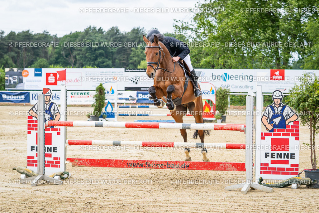 DSC04942 | Pferdegrafie