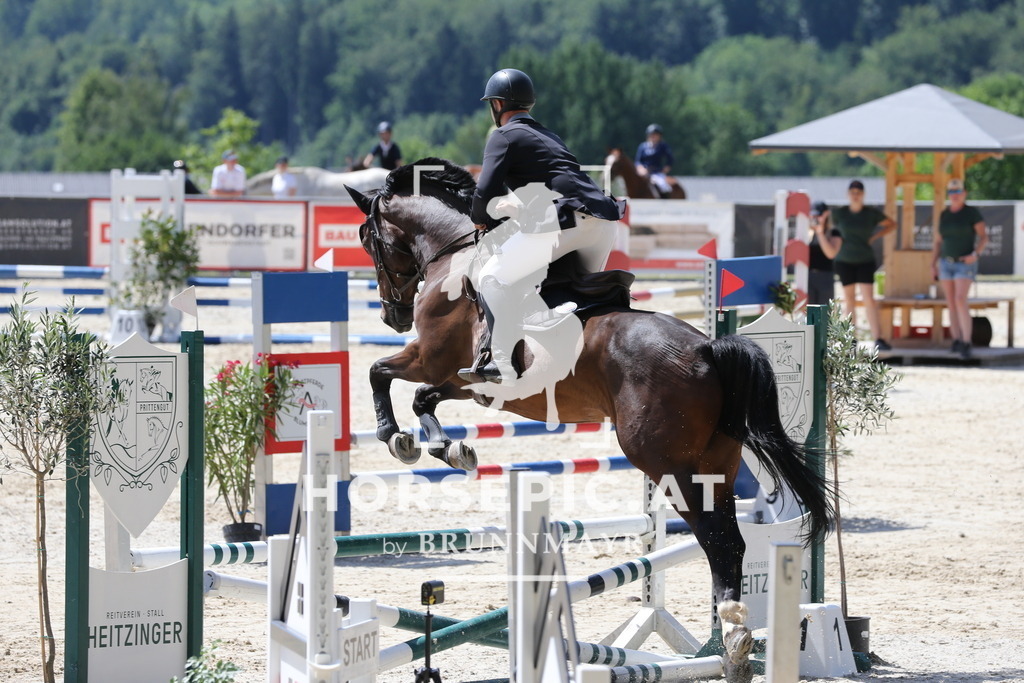 PP017193 | Willkommen bei Brunnmayr - Design & Fotografie – Ihrem Spezialisten für Reitturniere und Pferdeveranstaltungen in Oberösterreich, Salzburg und Bayern! Seit über 17 Jahren sind wir leidenschaftlich dabei.