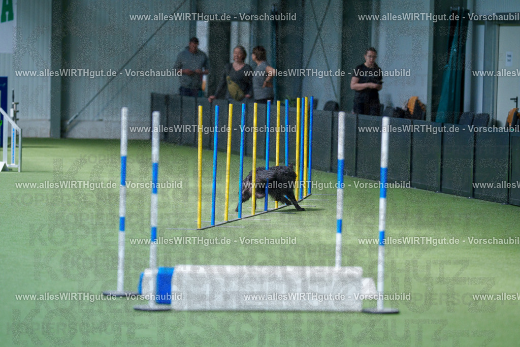 @allesWIRTHgut_Tierfotografie - www.allesWIRTHgut.de - 2604261401-7R503245 | Professionelle Tierfotografie in Mönchengladbach von Daniel Wirth (allesWIRTHgut). Liebevolle & natürliche Bilder von Hunden & Katzen für unvergessliche Erinnerungen.