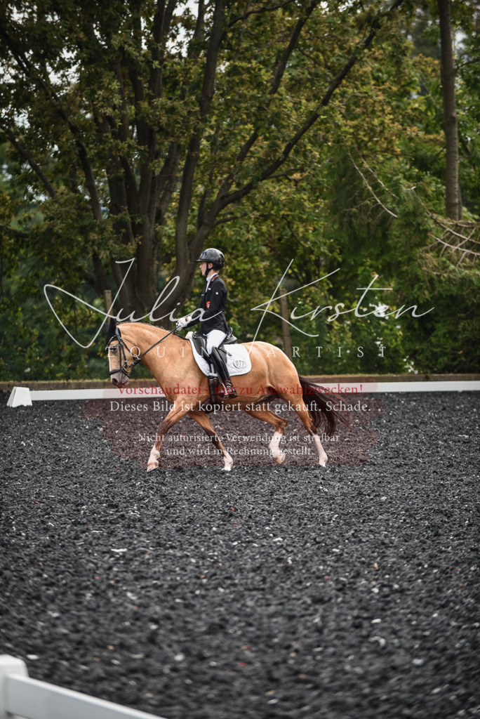 DSC_4420 | Pferde- und Turnierfotografie in Westsachsen. Pferdeportraits, Auftragszeichnungen und intuitive Kunst.