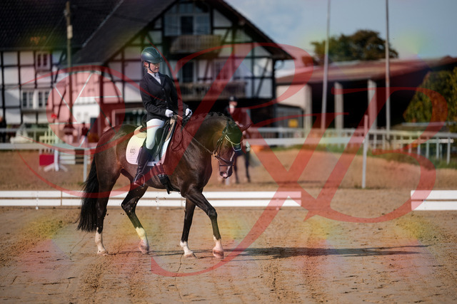 2026_10_03_Siefer-Hof_113335_Z63_19964252 | Professionelle Reitsport-, Turnier- und Eventfotografie von Robert Broda. Galerien mit ausgewählten und bearbeiteten Bildern direkt online ansehen und bestellen.