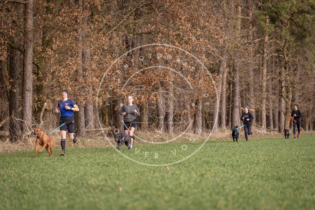 DV3A6044 | Hundefotografie, Tierfotograf, Pfotenfotografie, Fotoshooting Hund, Hunde Portrait, Hundesport, Hundeportraits, Heideshooting, Hunde, Sportfotograf, Hundefotograf, Turnierhundsport, THS,  - Realisiert mit Pictrs.com