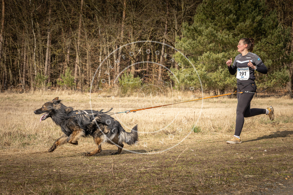 DV3A5762 | Hundefotografie, Tierfotograf, Pfotenfotografie, Fotoshooting Hund, Hunde Portrait, Hundesport, Hundeportraits, Heideshooting, Hunde, Sportfotograf, Hundefotograf, Turnierhundsport, THS,  - Realisiert mit Pictrs.com