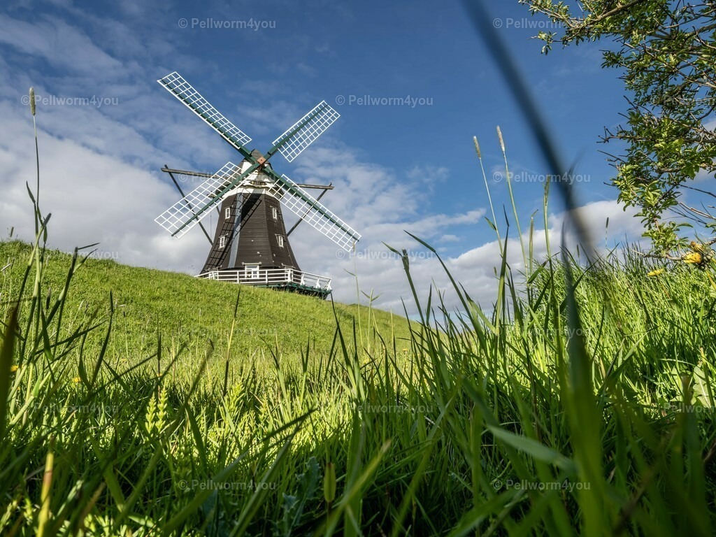 pellworm-kalender-2024-22-denoise-enhance-2x-sharpen | Pellwormer Bilder und Fotos als Poster, auf Leinwand mit Keilrahmen, hinter Acrylglas, auf Alu-Dibond oder Forex-Platte und vieles mehr. Zum verschenken, für die Ferienwohnung oder für zu Hause. - Realisiert mit Pictrs.com