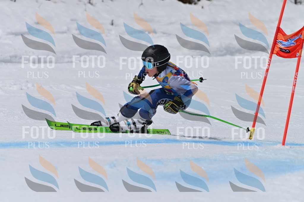 BGV_6129 | holidayphoto