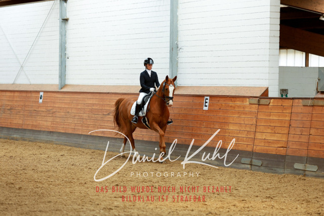 _62_4772 | Turniersportfotografie; Pferdefotografie; Dressurfotografie