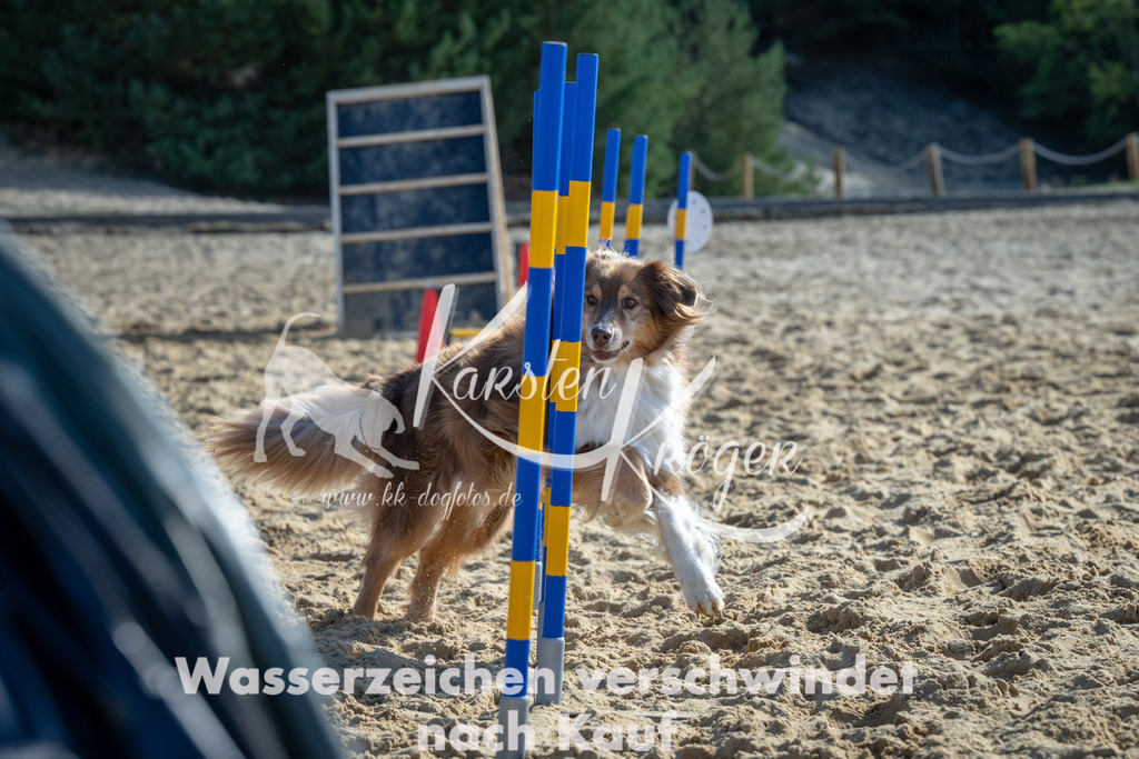 1213_ZZ92691-2 | kk-dogfotos