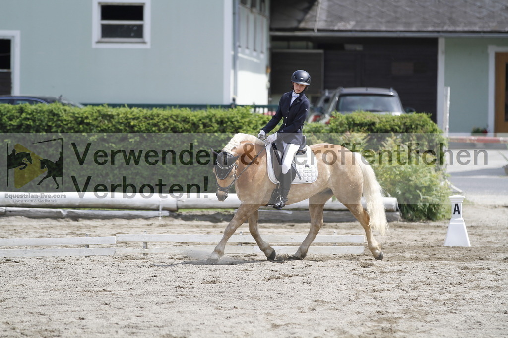 _MG_8543 | equestrian-live-com