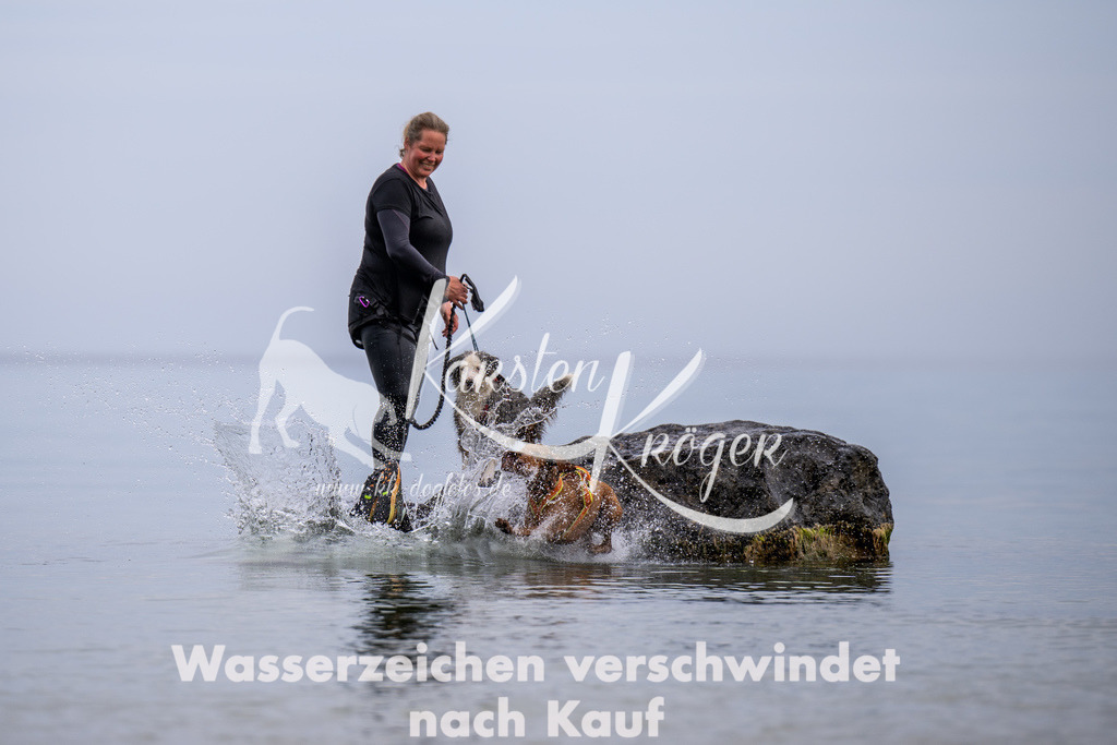 1229_ZZ91906 | kk-dogfotos