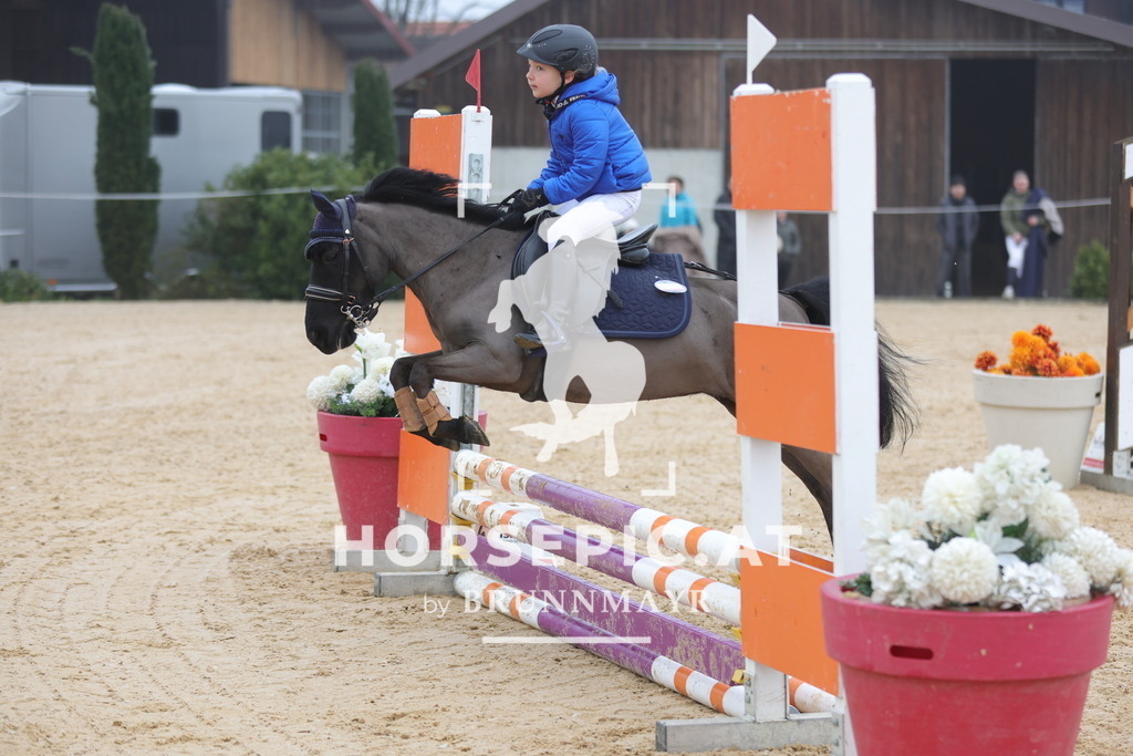 0P6A8294 | Willkommen bei Brunnmayr - Design & Fotografie – Ihrem Spezialisten für Reitturniere und Pferdeveranstaltungen in Oberösterreich, Salzburg und Bayern! Seit über 17 Jahren sind wir leidenschaftlich dabei.