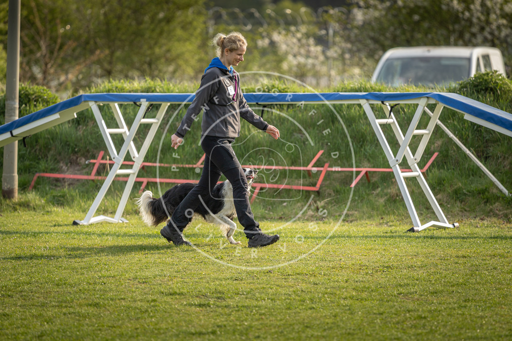 Pfotenfotografie_DV3A4741 | Hundefotografie, Tierfotograf, Pfotenfotografie, Fotoshooting Hund, Hunde Portrait, Hundesport, Hundeportraits, Heideshooting, Hunde, Sportfotograf, Hundefotograf, Turnierhundsport, THS,  - Realisiert mit Pictrs.com
