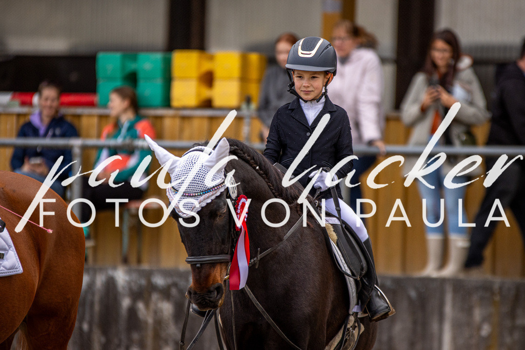 IMG_3626 | Erleben Sie dynamische Sport- und emotionale Tierfotografie in Süddeutschland mit Fotos von Paula. Spezialisiert auf Pferde- und Hundefotografie sowie Sportevents. Kontaktieren Sie mich für einzigartige und ausdrucksstarke Bilder Ihrer besonderen Momente.