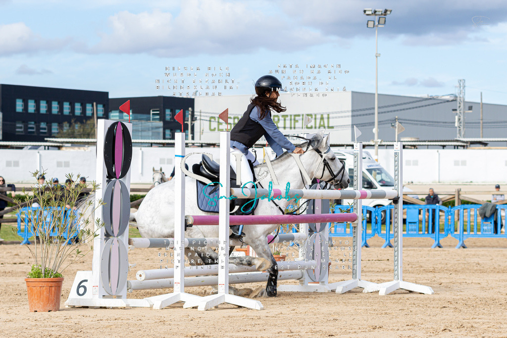 IMG_3416 | s-jay-photography - Realisiert mit Pictrs.com