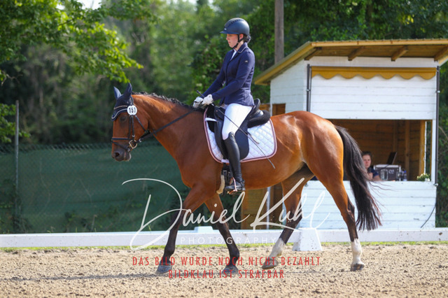 DKP42902 | Turniersportfotografie; Pferdefotografie; Dressurfotografie