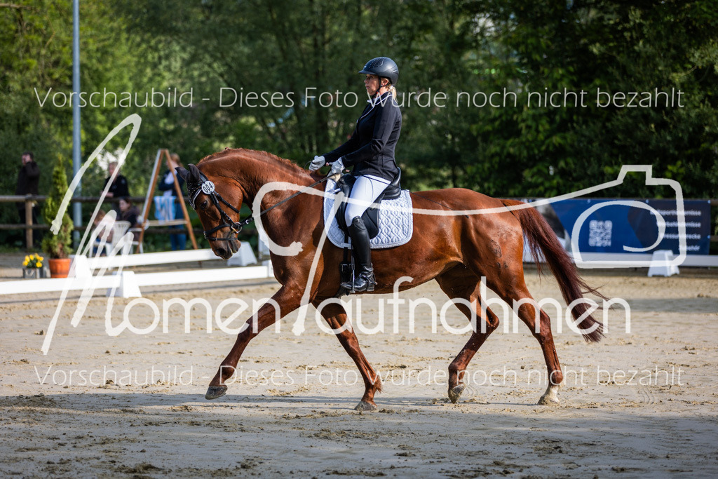 Donop24-A-Dre-016 | MomenTaufnahmen Pferdesportfotos