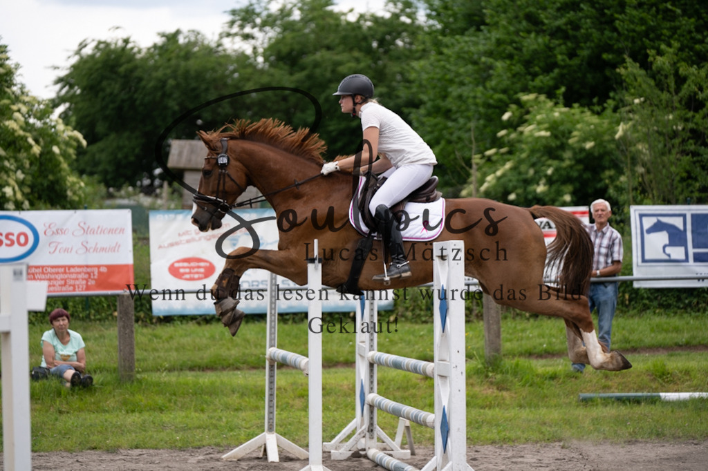 A7V04905 | Pferdefotograf