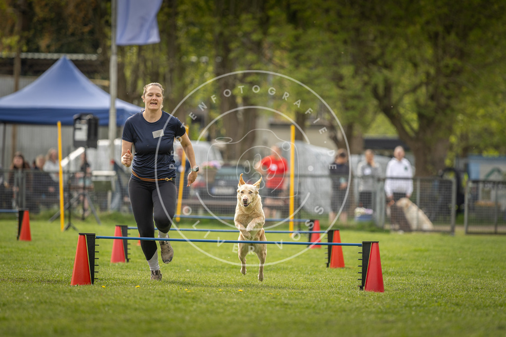 Pfotenfotografie_DV3A5811 | Hundefotografie, Tierfotograf, Pfotenfotografie, Fotoshooting Hund, Hunde Portrait, Hundesport, Hundeportraits, Heideshooting, Hunde, Sportfotograf, Hundefotograf, Turnierhundsport, THS,  - Realisiert mit Pictrs.com