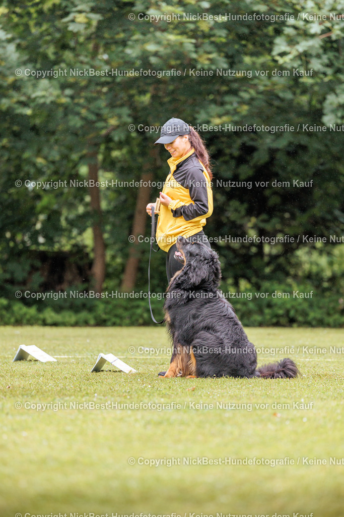 RO-Blumenthal-2026-Nickbest-Hundefotografie-4151 | Dein Hund! Dein Moment! Deine Erinnerungen! Hundefotografie in Bremen Blumenthal. Ich fange die besonderen Momente deines Vierbeiners ein – ob Indoor mit Blitzanlage oder in der freien Natur. Sicher dir dein Moment und dein Termin für eure Erinnerungen.