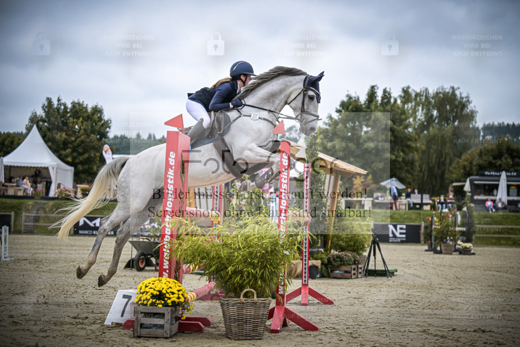 DOS_1910 | Entdecke hochwertige Reitturnierfotos von Foto Oger. Professionell, emotional und authentisch – jetzt Lieblingsmomente im Shop bestellen. - Realisiert mit Pictrs.com