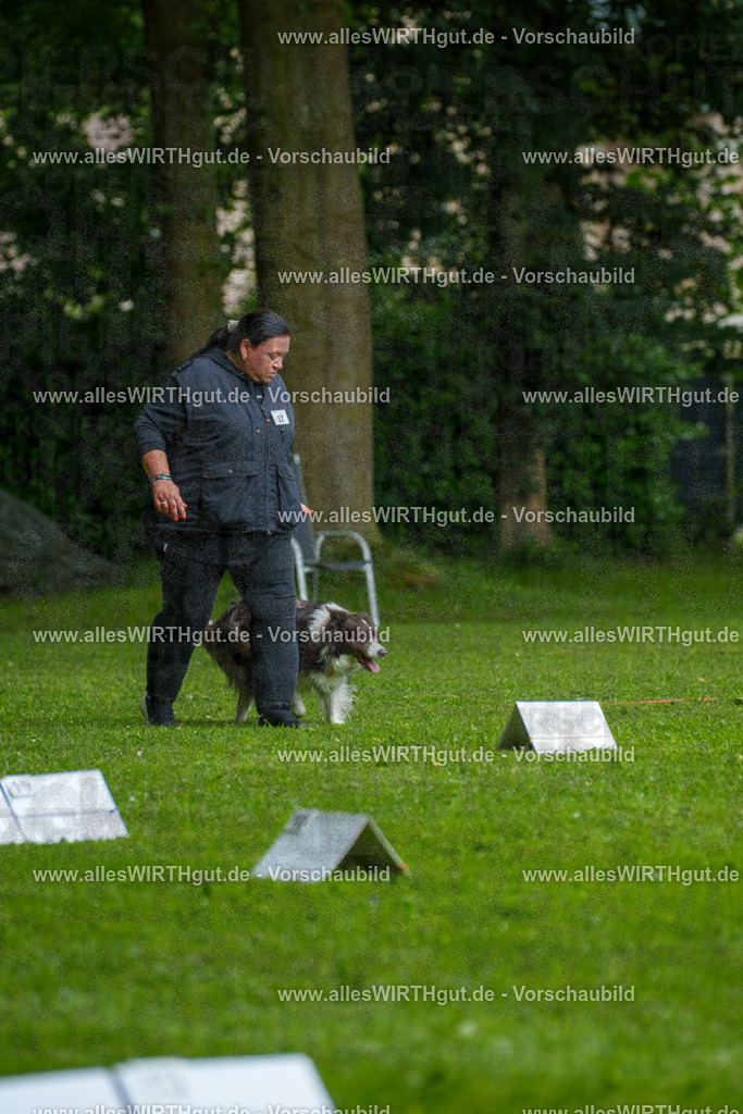 @allesWIRTHgut_Tierfotografie - www.allesWIRTHgut.de - 7R503457 | Professionelle Tierfotografie in Mönchengladbach von Daniel Wirth (allesWIRTHgut). Liebevolle & natürliche Bilder von Hunden & Katzen für unvergessliche Erinnerungen.