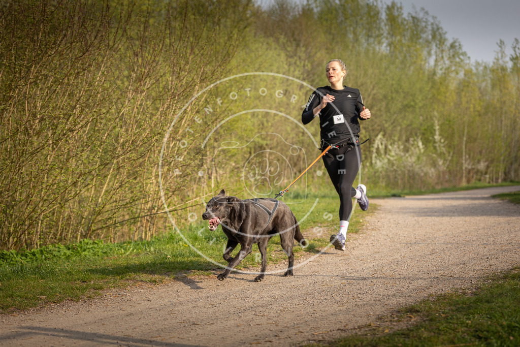 Pfotenfotografie_DV3A4601 | Hundefotografie, Tierfotograf, Pfotenfotografie, Fotoshooting Hund, Hunde Portrait, Hundesport, Hundeportraits, Heideshooting, Hunde, Sportfotograf, Hundefotograf, Turnierhundsport, THS,  - Realisiert mit Pictrs.com
