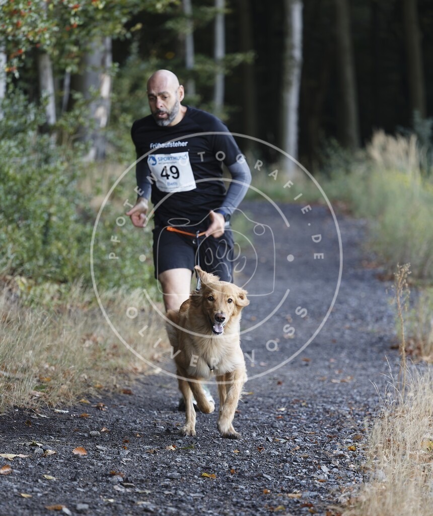 0L8A1768 | Hundefotografie, Tierfotograf, Pfotenfotografie, Fotoshooting Hund, Hunde Portrait, Hundesport, Hundeportraits, Heideshooting, Hunde, Sportfotograf, Hundefotograf, Turnierhundsport, THS,  - Realisiert mit Pictrs.com