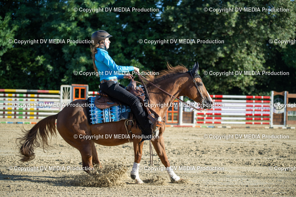 ZS1_0631 | dv-media-shop - Realisiert mit Pictrs.com