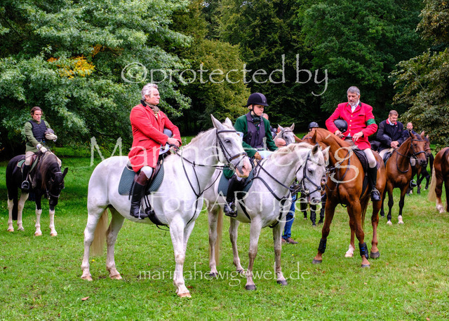 Jagd Perdoel 26 Fuji-9723_MarinaHewig | Fotografie, FotoArt, PferdesportArt, Pferdesportfotografie, Landschaftsfotografie, Reisefotografie, Reise, Pferde - Realisiert mit Pictrs.com