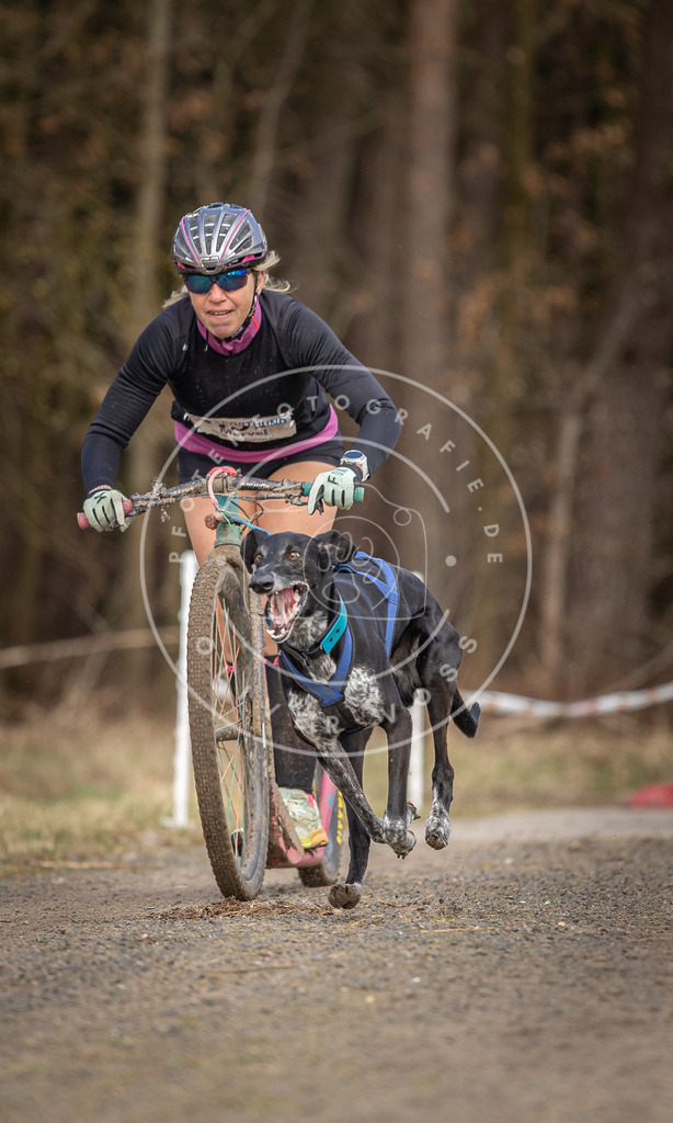 DV3A4662 | Hundefotografie, Tierfotograf, Pfotenfotografie, Fotoshooting Hund, Hunde Portrait, Hundesport, Hundeportraits, Heideshooting, Hunde, Sportfotograf, Hundefotograf, Turnierhundsport, THS,  - Realisiert mit Pictrs.com