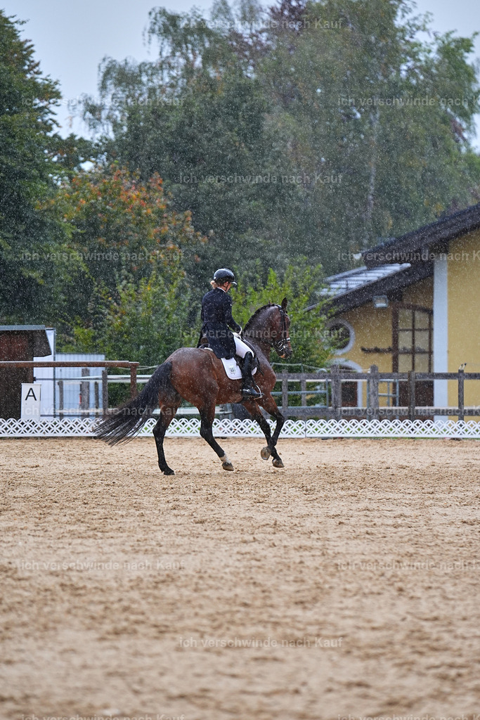 8_1-001-Klasse S_  -Marixx-4334 | working equitationturnier fotograf videograf stoibphotography marixx film working equitation deutschland reitsport turnierfotografie eventfotografie equestrian events