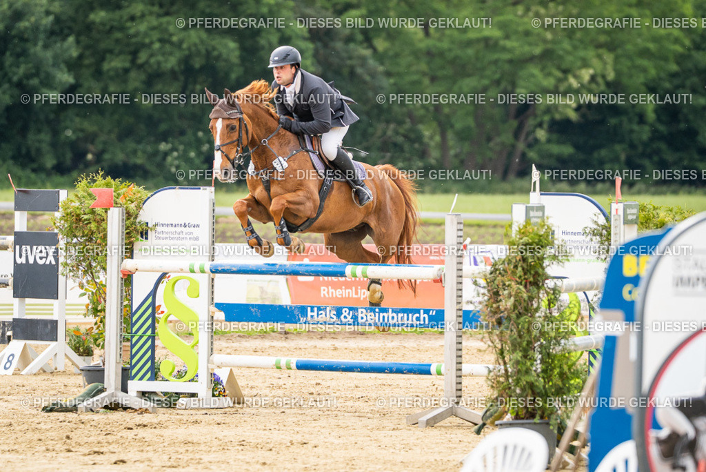 DSC06415 | Pferdegrafie