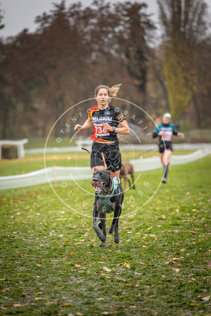 CaniXpix_DV3A9217 | Hundefotografie, Tierfotograf, Pfotenfotografie, Fotoshooting Hund, Hunde Portrait, Hundesport, Hundeportraits, Heideshooting, Hunde, Sportfotograf, Hundefotograf, Turnierhundsport, THS,  - Realisiert mit Pictrs.com