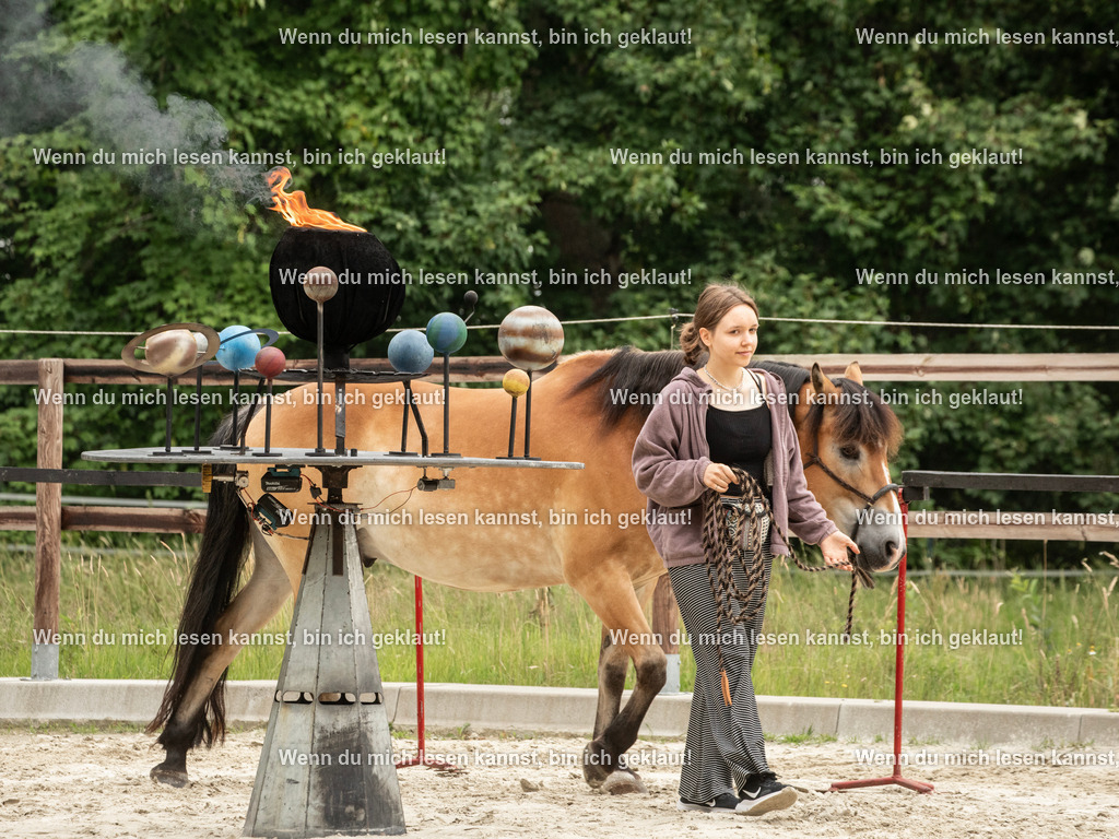 598A6618 | photographylinaismer - Realisiert mit Pictrs.com