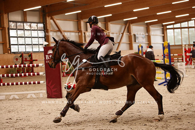 1J2A6079Juliane Weihs_ Cryptonit_ Kn191_ Glantz_ Hohen Wieschendorf | Foto- und Videografie für alles rund ums Pferd. Hochwertige Bilder und Videos vom Spring- und Dressurreiten, Voltigieren & mehr. Jetzt aktuelle Veranstaltungen und Preise im Shop ansehen. - Realisiert mit Pictrs.com