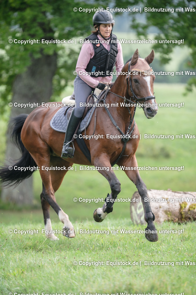 20250726_Vielseitigkeitslehrgang-Marbach_0091 | Foto: Thomas Hartig