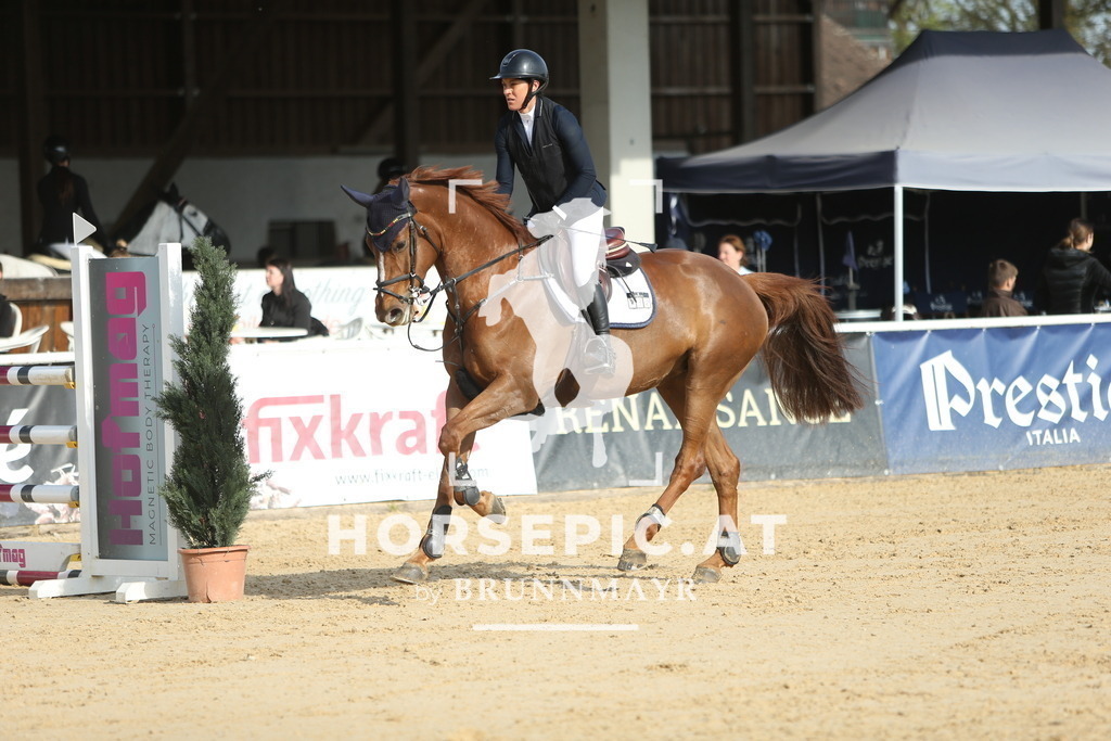 DL2Q2993 | Willkommen bei Brunnmayr - Design & Fotografie – Ihrem Spezialisten für Reitturniere und Pferdeveranstaltungen in Oberösterreich, Salzburg und Bayern! Seit über 17 Jahren sind wir leidenschaftlich dabei.