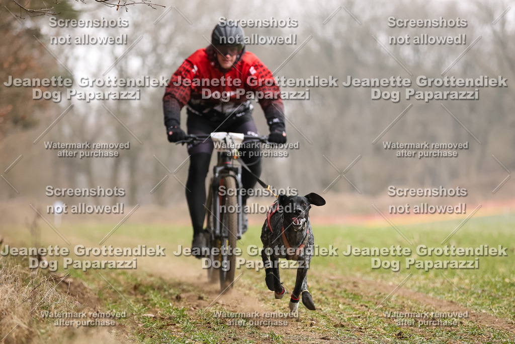 Dog Paparazzi - Plate 2026-42 | Dog Paparazzi Jeanette Grottendiek Fotografie & Videografie - Realisiert mit Pictrs.com