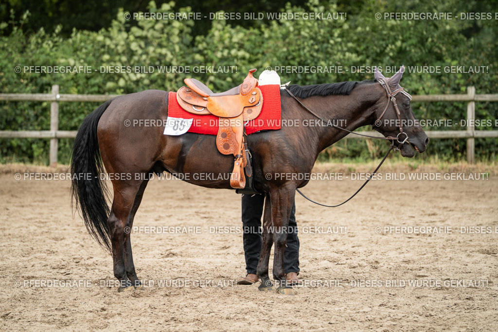 DSC03737 | Pferdegrafie