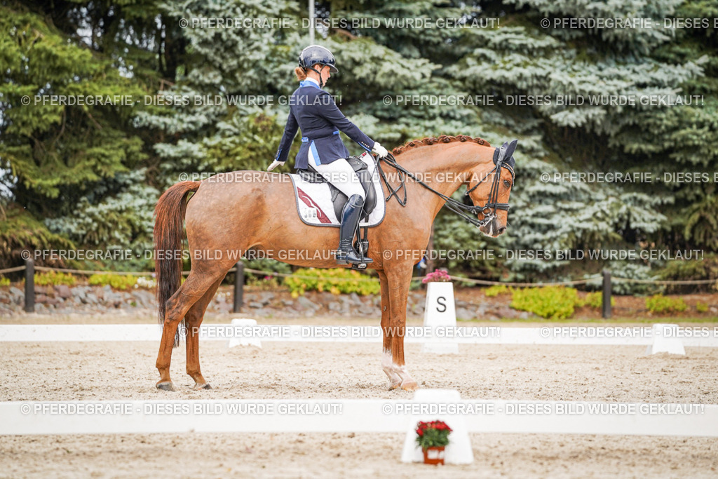 DSC07544 | Pferdegrafie