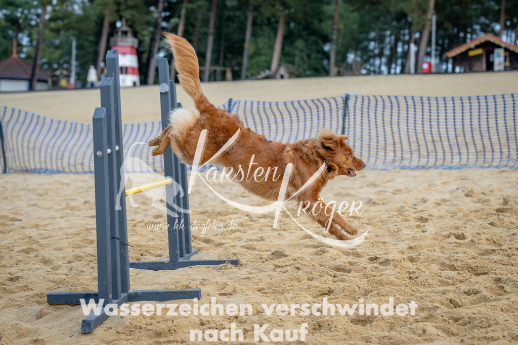 0911_ZZ91967 | kk-dogfotos