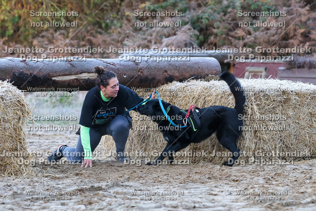 Dog Paparazzi - Strongdog 10-25-212 | Dog Paparazzi Jeanette Grottendiek Fotografie & Videografie - Realisiert mit Pictrs.com