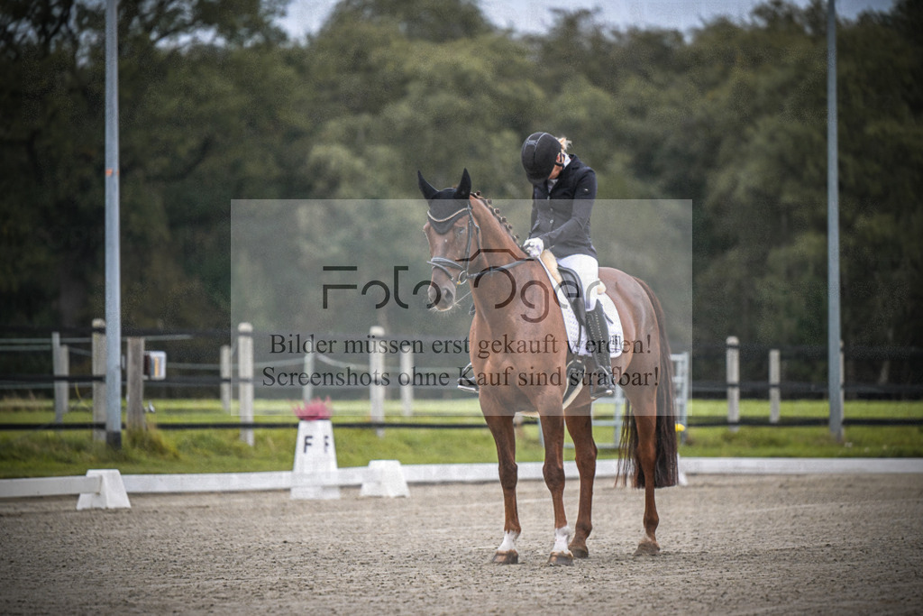 DOS_0014 | Entdecke hochwertige Reitturnierfotos von Foto Oger. Professionell, emotional und authentisch – jetzt Lieblingsmomente im Shop bestellen.Deutschlandweite Turnierfotografie. - Realisiert mit Pictrs.com