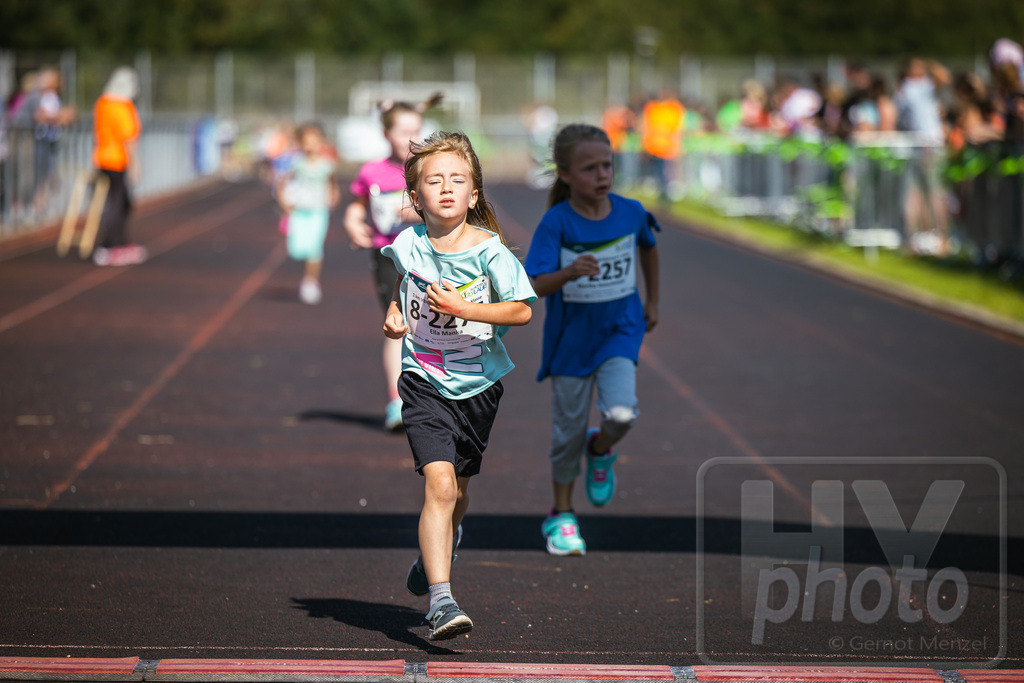 GM_20230916_246267_Canon EOS R5_GMHY6410_RAW_s3900 | Webshop der Firma HY-photo, bietet Fotos und Fotoprodukte vorrangig mit Motiven aus Hoyerswerda und Umgebung, aber auch weltweit. Fotograf: Gernot Menzel - Realisiert mit Pictrs.com