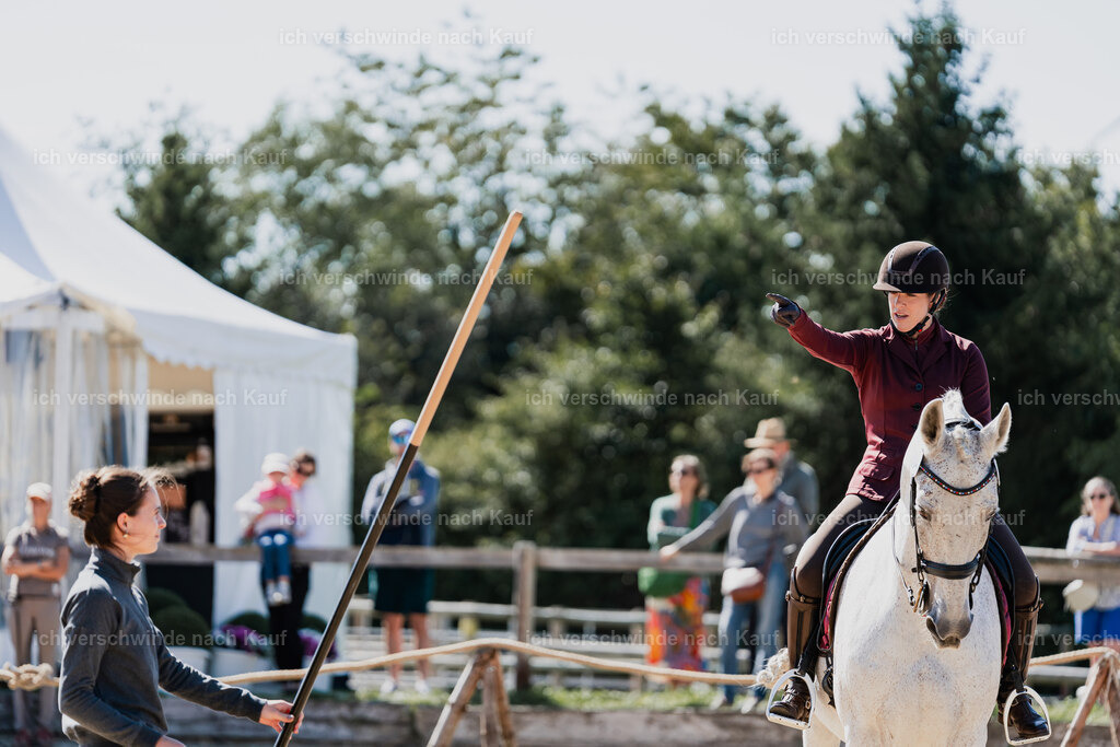 Kelly4_FHC2025-08845 | working equitationturnier fotograf videograf stoibphotography marixx film working equitation deutschland reitsport turnierfotografie eventfotografie equestrian events