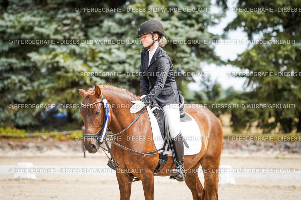 DSC02650 | Pferdegrafie